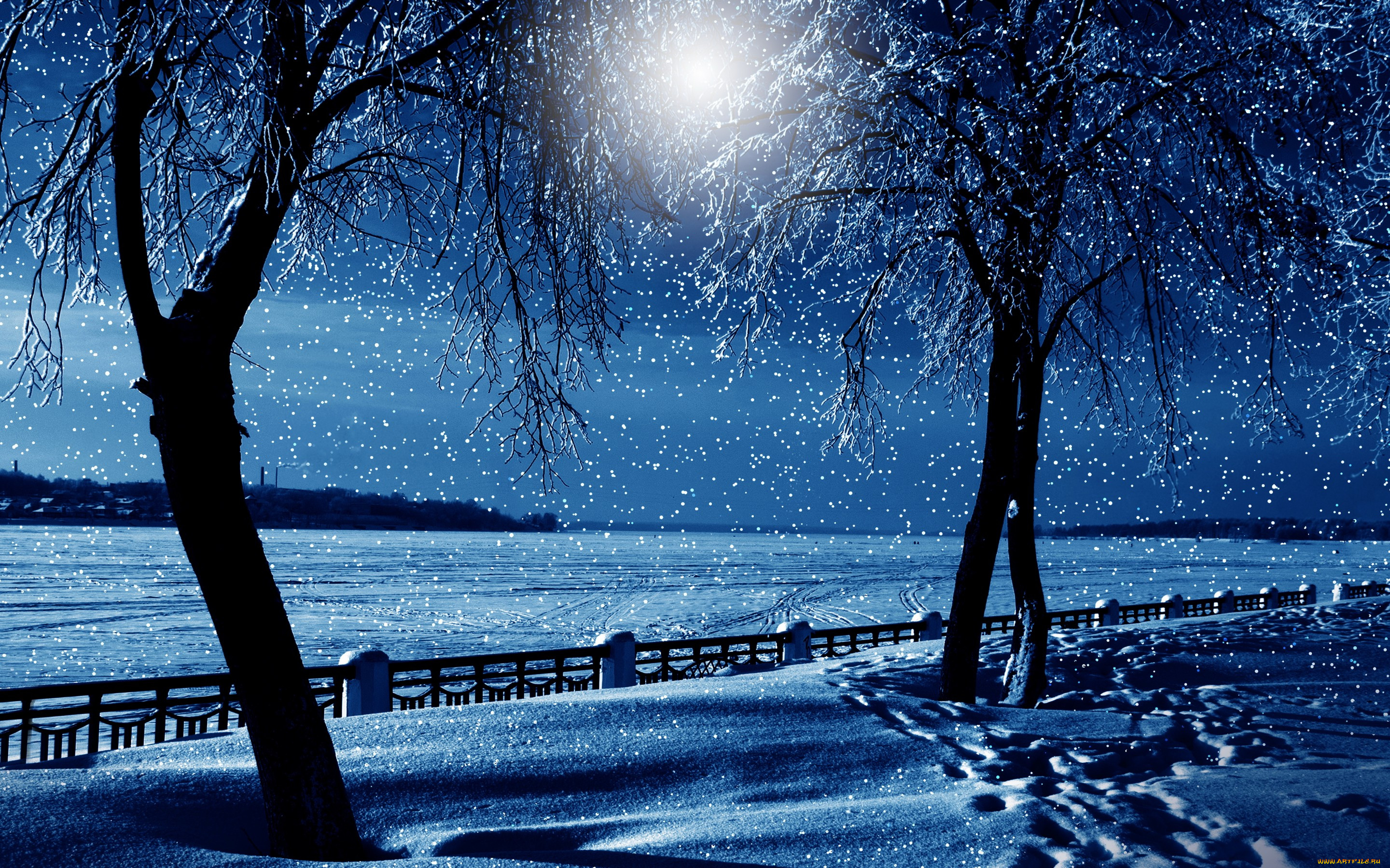 ,  , nature, winter, , , , , night, tree, snow
